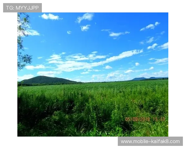 凯发电游游戏免费试玩体验指南，零风险上手快速掌握游戏技巧